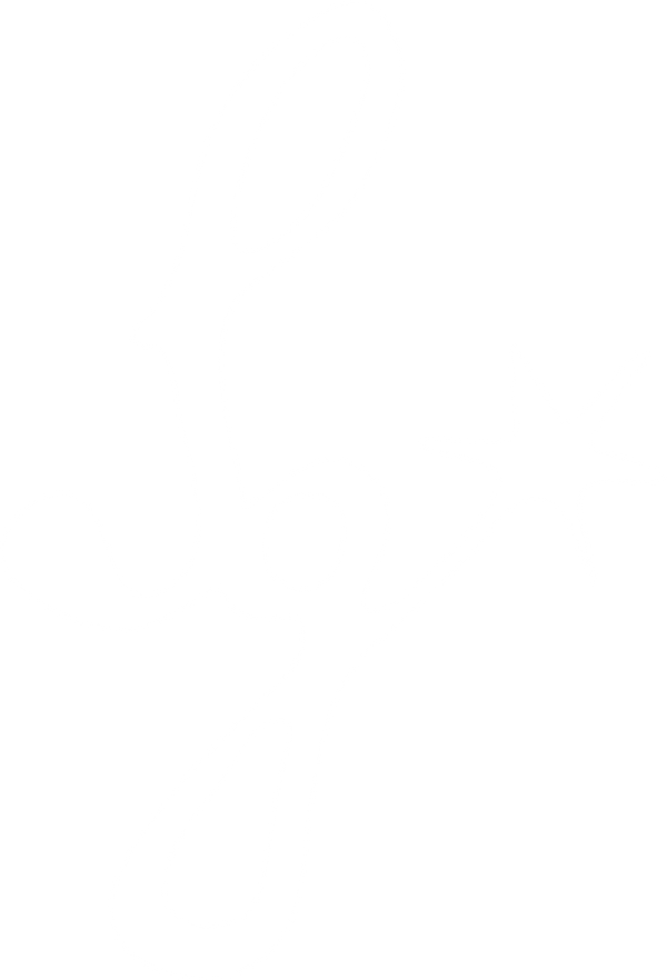 Stella Groove Productions